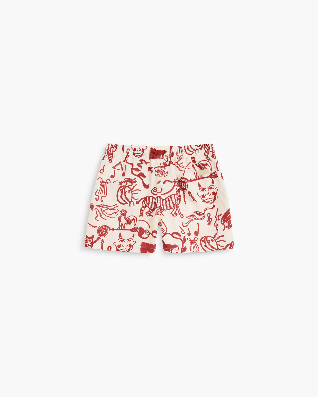 Arcano Swim Shorts