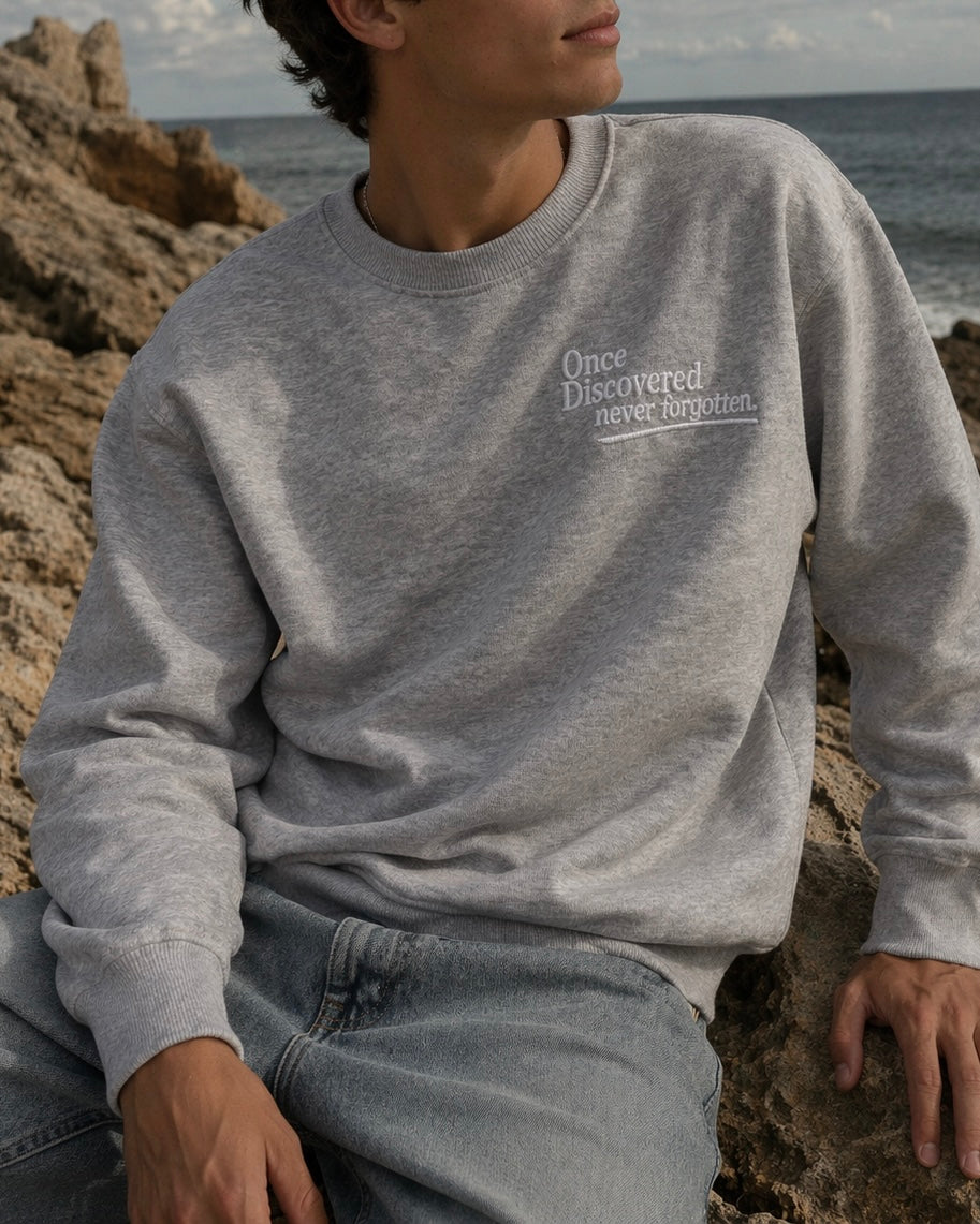 Once Discovered Crewneck in Grey, detail