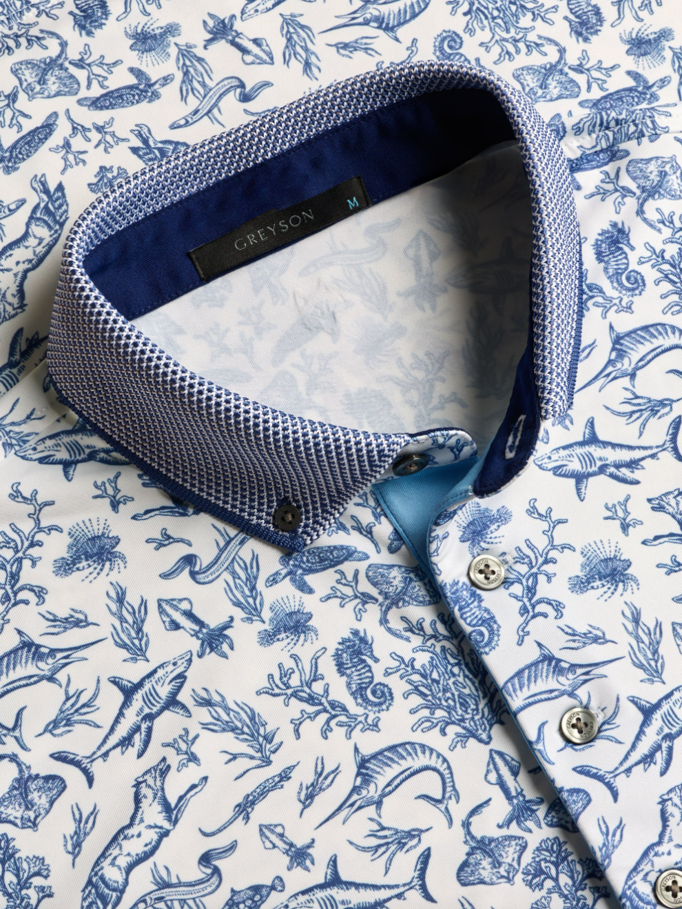 Coral Curiosities Polo, back view