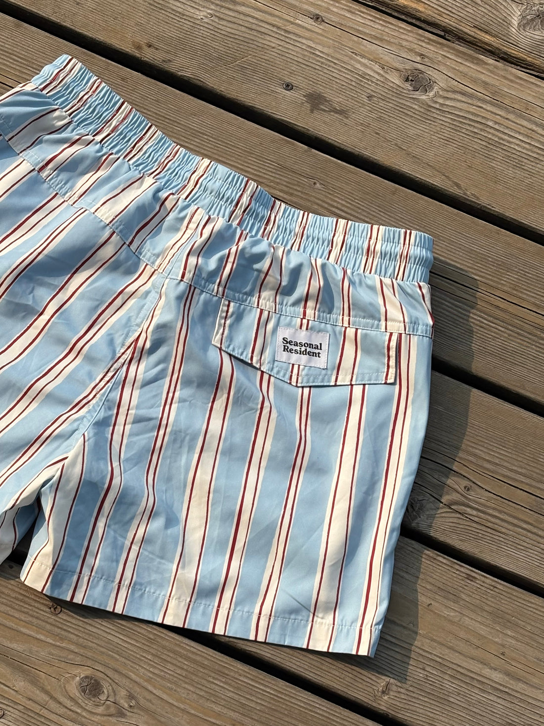 Stripe Swim Short